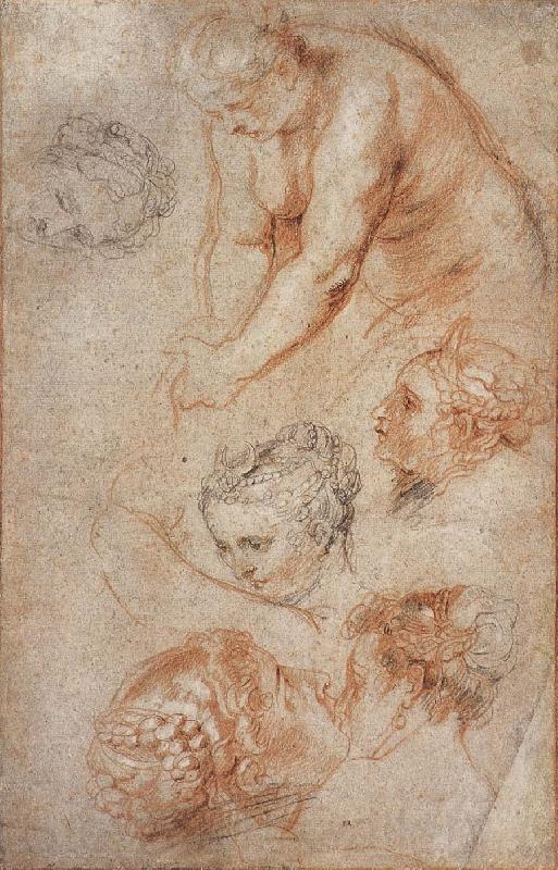 Peter Paul Rubens Woman sketch Spain oil painting art
